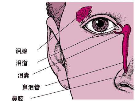 淚囊炎有哪些癥狀表現(xiàn)和并發(fā)癥？如何？