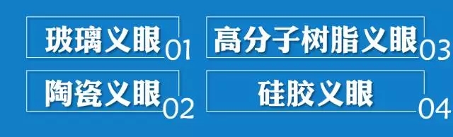 義眼片家族大揭秘：你不可不知的那些事