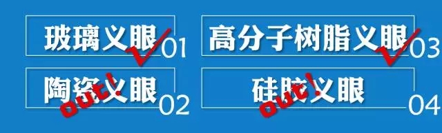 義眼片家族大揭秘：你不可不知的那些事