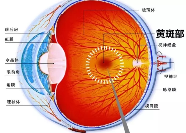 眼科醫(yī)生：在黑暗中看手機會患上“眼癌”？